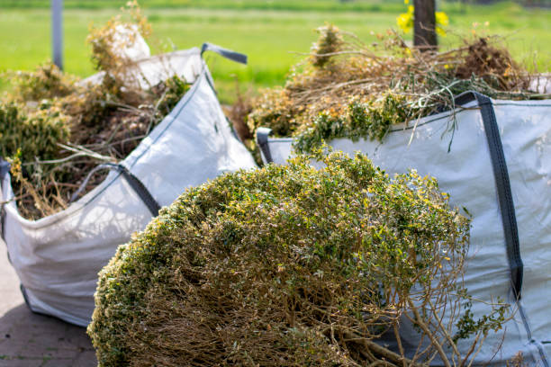 Reliable Douglas, MI Junk Removal Solutions