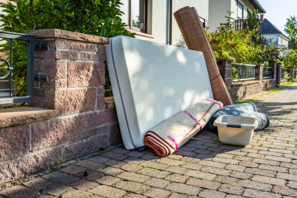 Best Yard Cleanup Services  in Douglas, MI